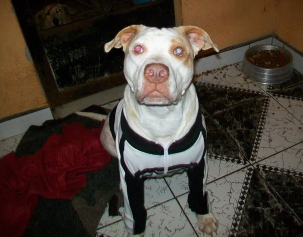 KYFDn6S6MkI.jpg KYFDn6S6MkI