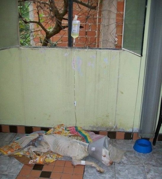 dTffq5gU-ww.jpg DTffq5gU ww