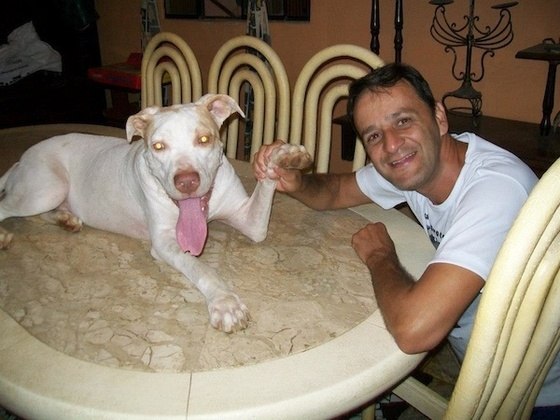 lnADkrJ-Sxw.jpg LnADkrJ Sxw