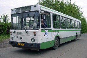 Bus