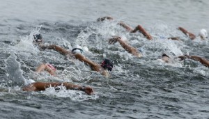 Swimmers compete in the women's 10km marathon at the London Olympic Games