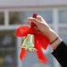 В 2026 году последние звонки и выпускные пройдут в единые даты