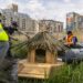 На тюменском озере построили элитный домик для уток с крышей и тремя входами