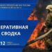 Гроза и человеческая беспечность: в Тюменской области за сутки вспыхнули сразу несколько пожаров