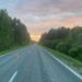 На тюменской трассе автомобиль насмерть сбил лося: погиб пассажир