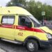 Тюменец лишился части пальца, пытаясь выдернуть одуванчик из работающей газонокосилки